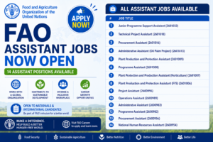 FAO Assistant Jobs 2026