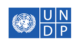 UNDP Research  Internship 2026: Remote or New York Opportunity for Students and Recent Graduates