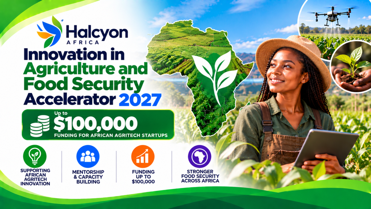 Halcyon Africa Innovation