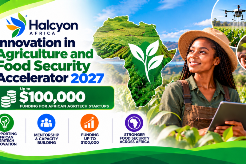 Halcyon Africa Innovation in Agriculture and Food Security Accelerator 2027: Up to $100,000 Funding for African AgriTech Startups