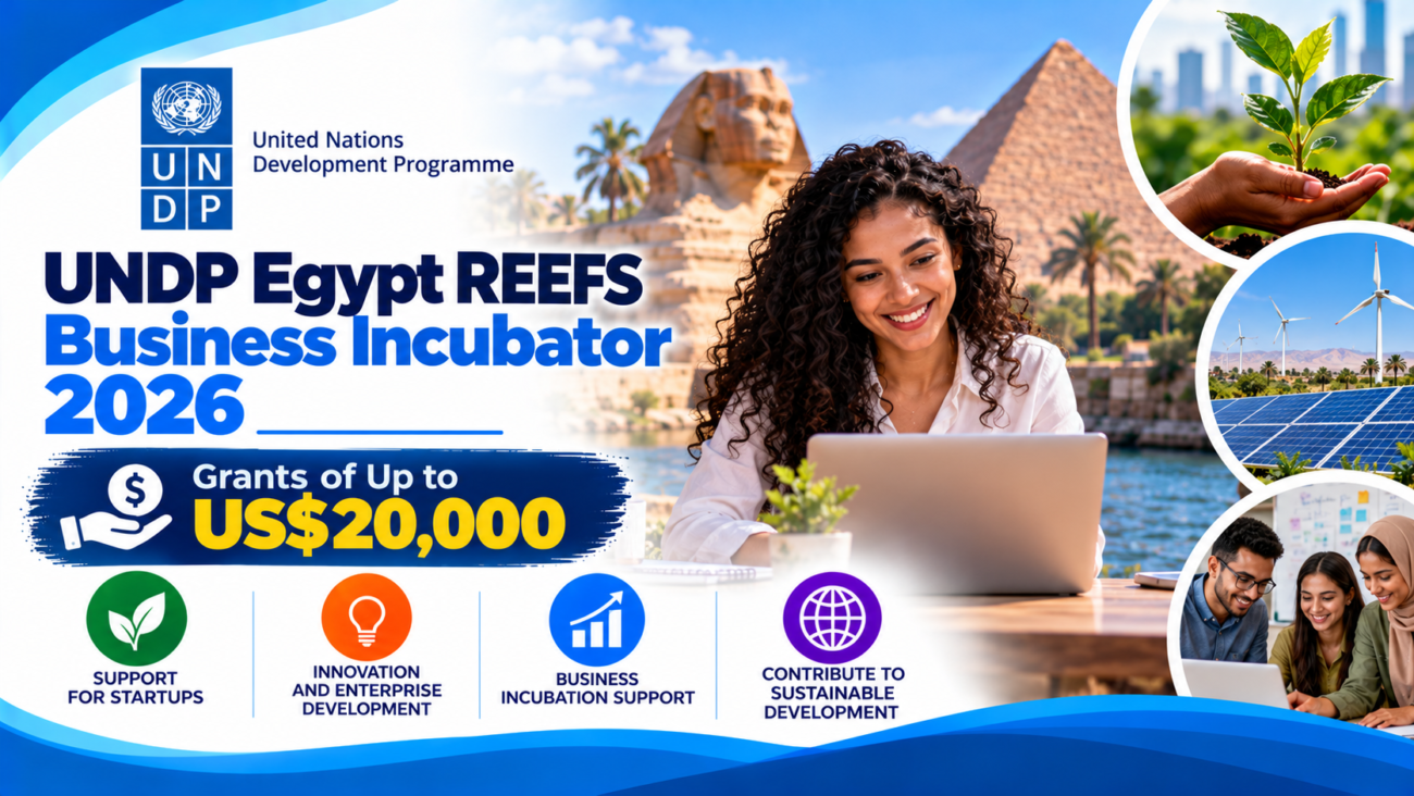 UNDP Egyp