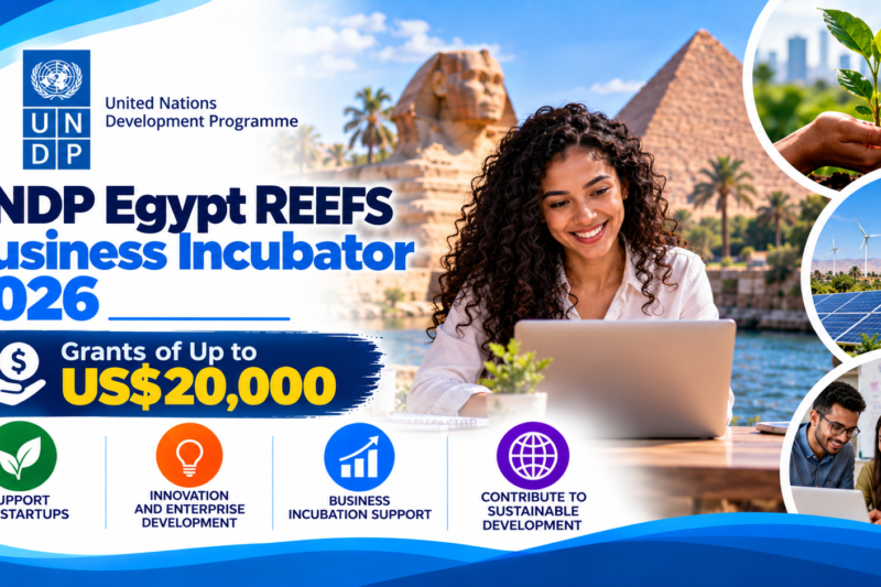 UNDP Egypt REEFS Business Incubator 2026: Grants of Up to $20,000 for Startups