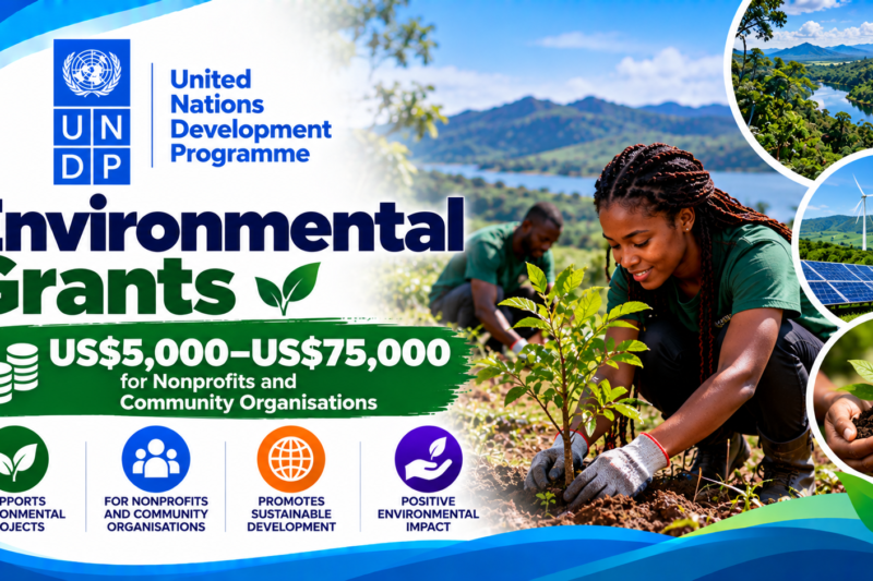 UNDP Opens Environmental Grants of US$5,000–US$75,000 for Nonprofits and Community Organisations